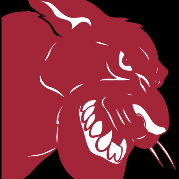 AR5 COUGAR 37 RQC Thumbnail