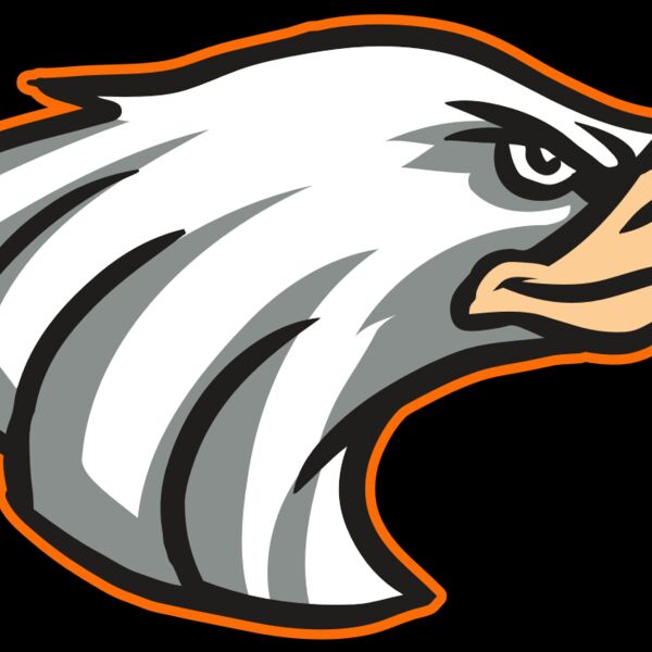 AR16 EAGLE 01 RQ Thumbnail