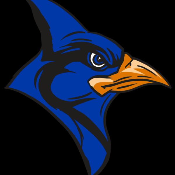 AR13 BLUEJAY 04 RQC Thumbnail