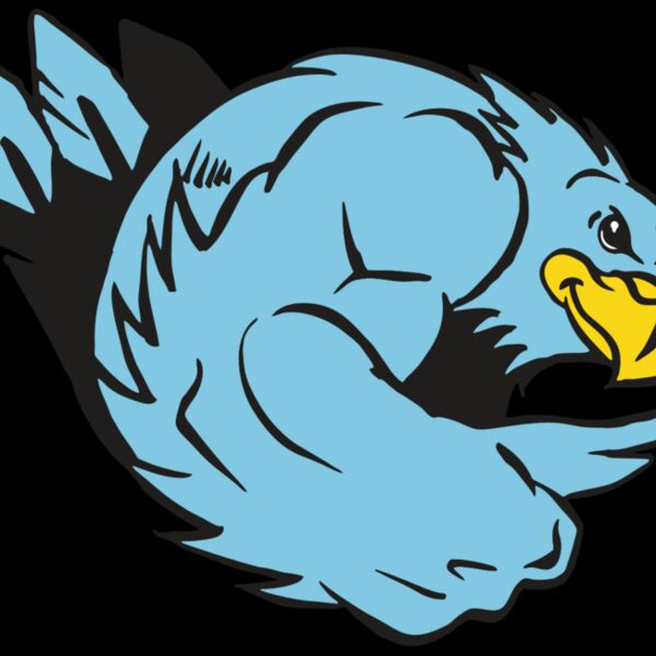 AR HAWK 24 RC Thumbnail